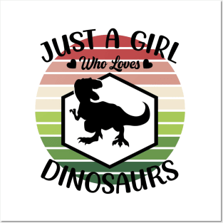 Just a girl who loves Dinosaurs 3 a Posters and Art